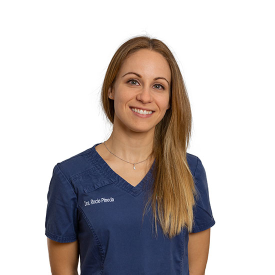 Imagen dentista DR. ROCIO PINEDA 